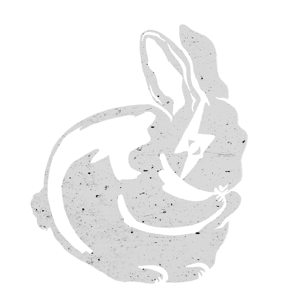 rabbit animation